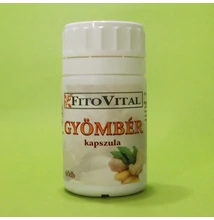 Fitovital Gyömbér kapszula 60db