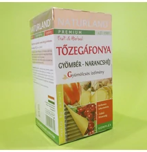 Naturland Tőzegáfonya-gyömbér-narancshéj gyümölcsös ízélmény 20x2g