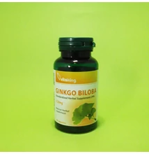 Vitaking Ginkgo biloba 120mg 60db